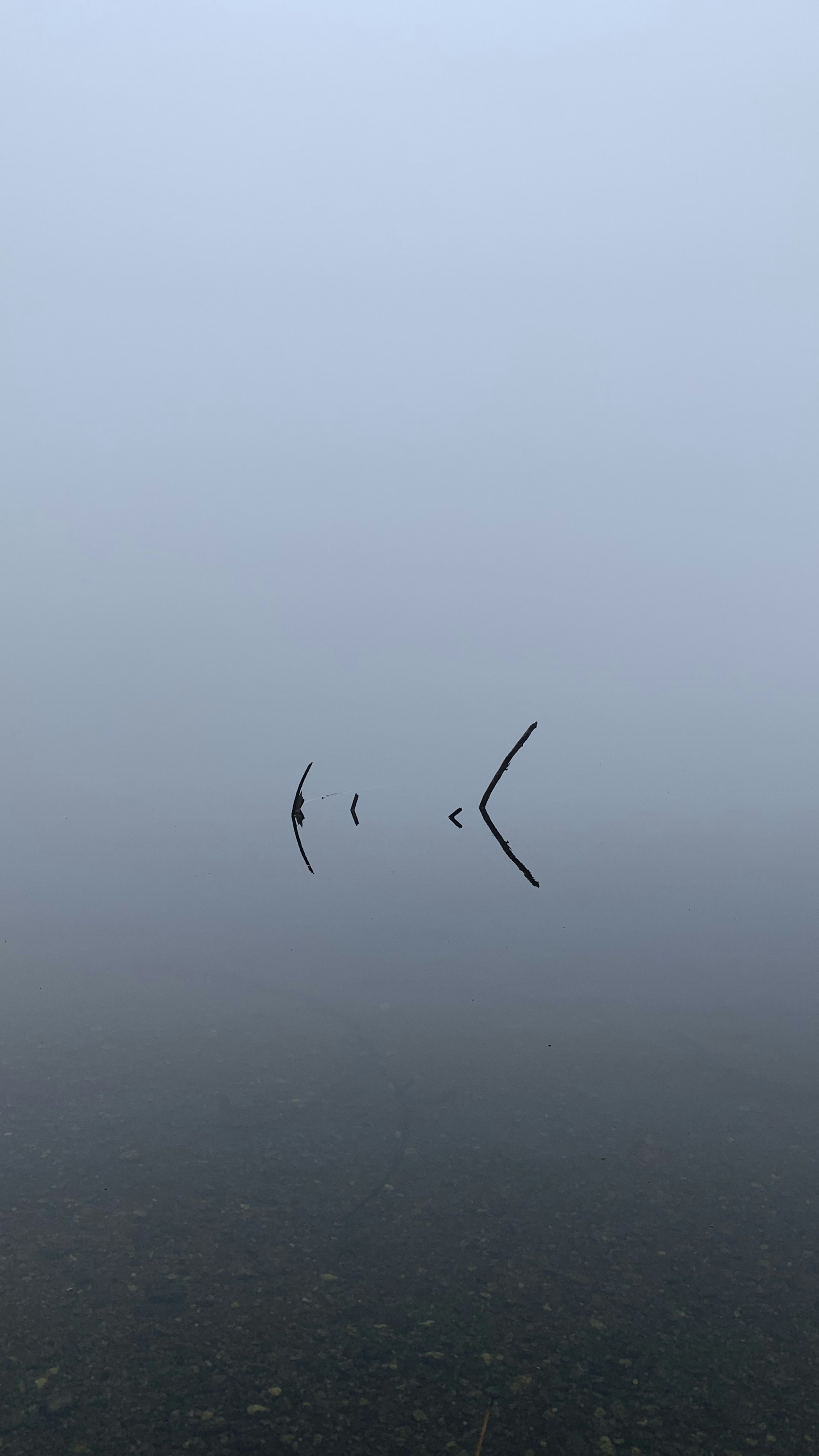 Photo by ladislavdavidek