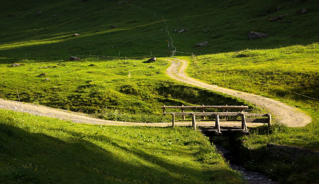 brown wooden bridge on green grass field during daytime