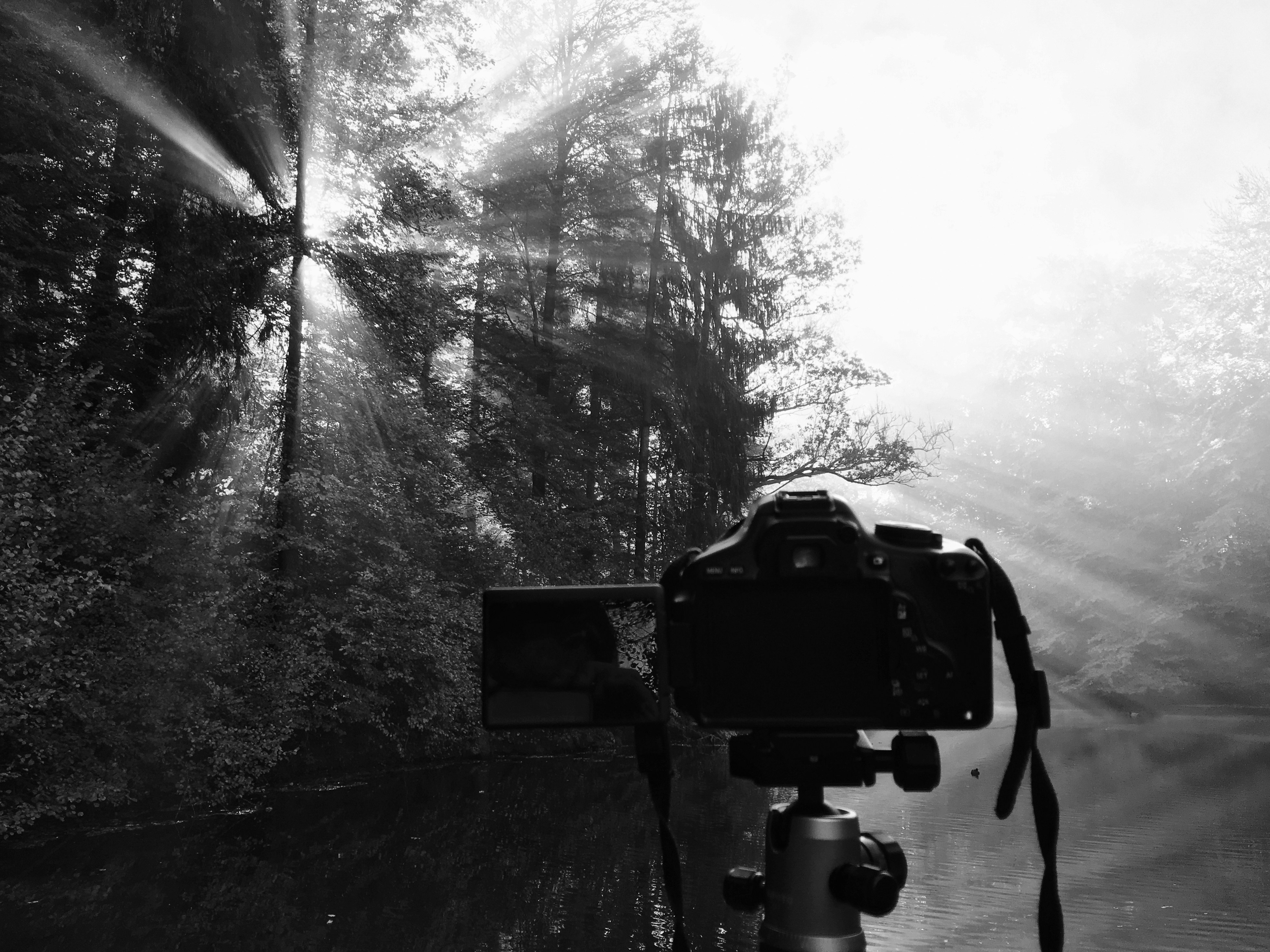 Sturdy Aluminum Tripod