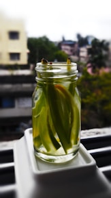 Artisan fermenting vegetables in glass jars, sunlight filtering through a kitchen window.