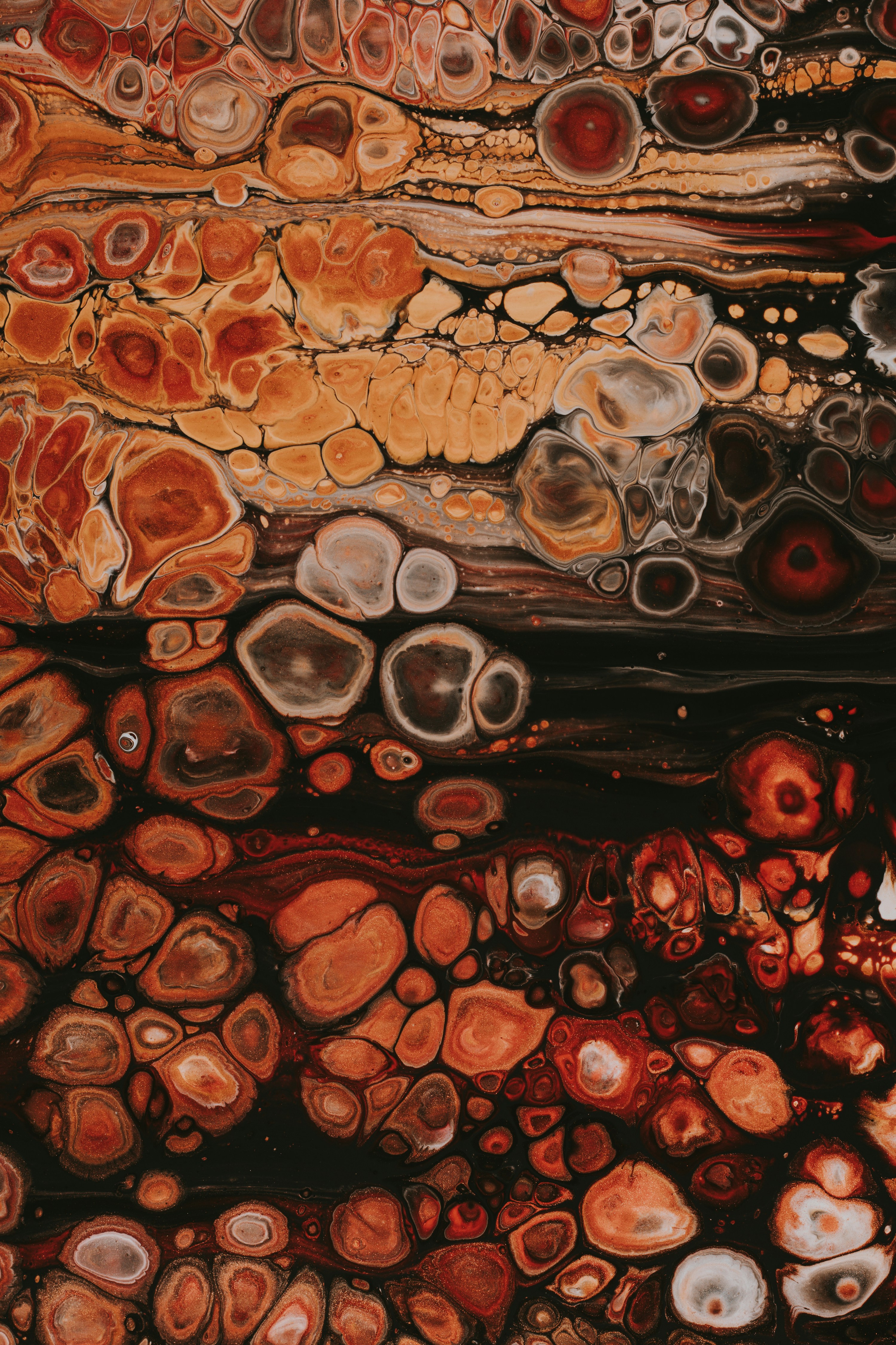 Photo by pawel_czerwinski