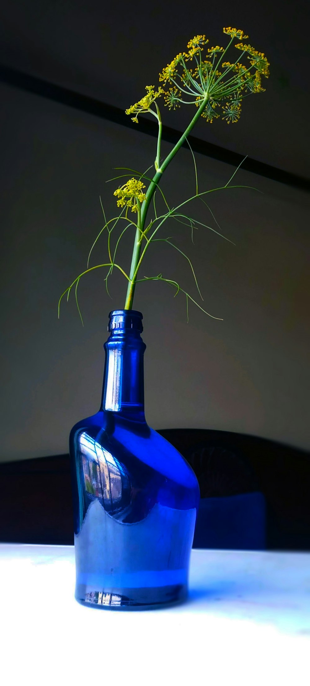 파란 유리 꽃병에 녹색 식물