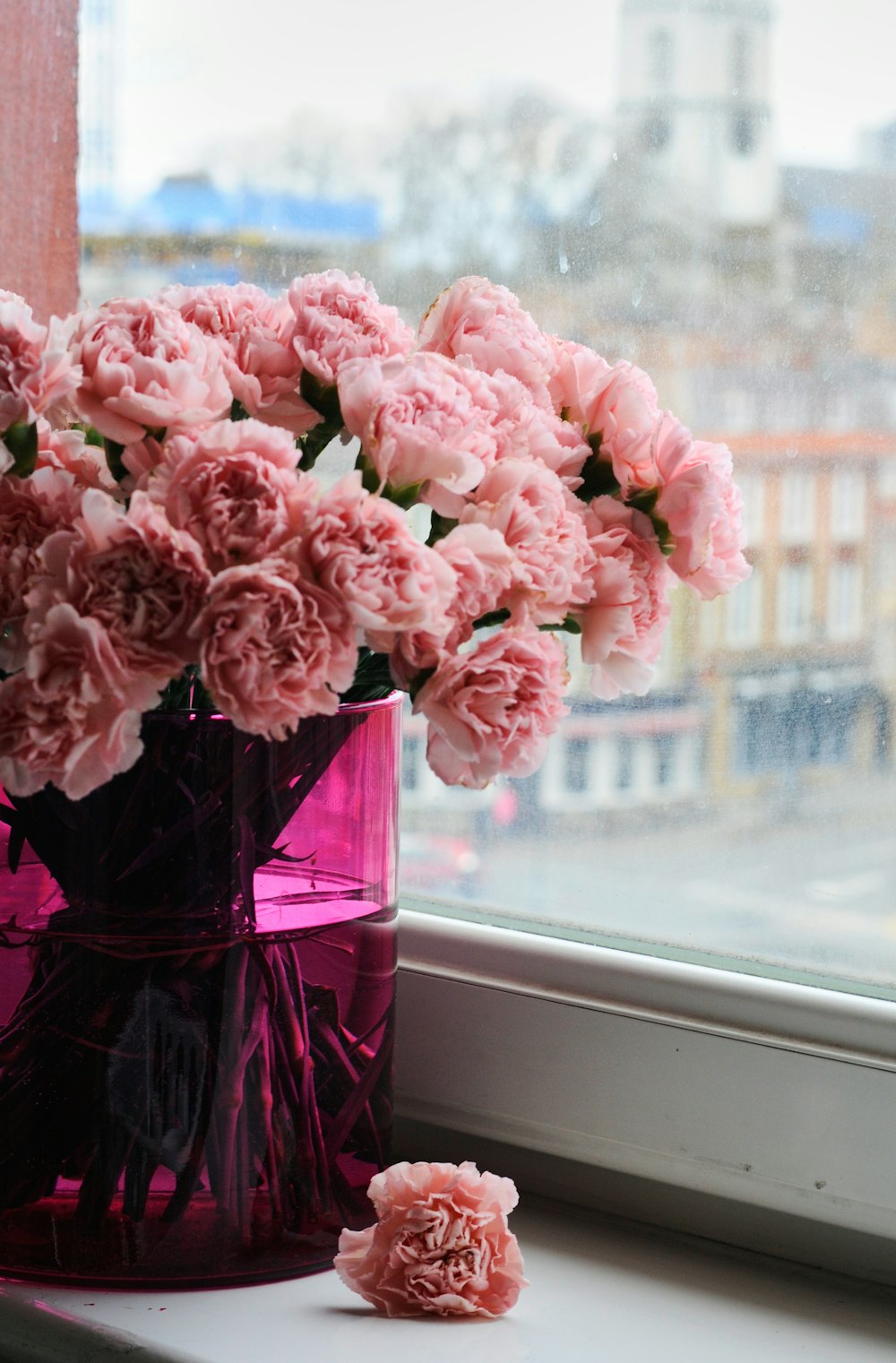 pink flowers in red glass vase