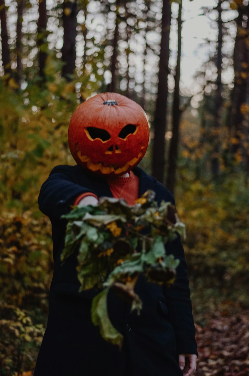 jack o lantern on green and brown tree