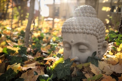 A serene stone Buddha head rests among green ivy and fallen yellow leaves in a sunlit forest area. The soft sunlight filters through the trees, creating a calm and peaceful atmosphere.