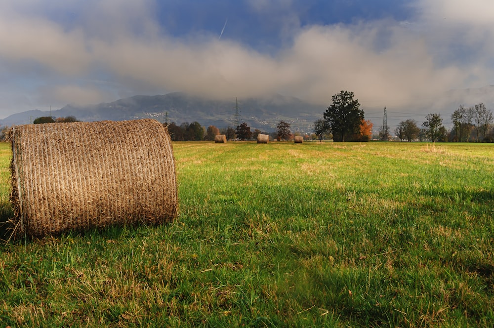 a hay bale in a field with mountains in the background