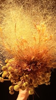 A bouquet featuring a creative arrangement of dried wildflowers and grasses. The prominent elements include fluffy, spherical clusters and wispy, delicate strands, all in various shades of gold and yellow against a dark background. A hand is holding up the bouquet, emphasizing its intricate and airy composition.