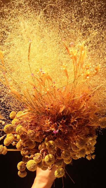 A bouquet featuring a creative arrangement of dried wildflowers and grasses. The prominent elements include fluffy, spherical clusters and wispy, delicate strands, all in various shades of gold and yellow against a dark background. A hand is holding up the bouquet, emphasizing its intricate and airy composition.