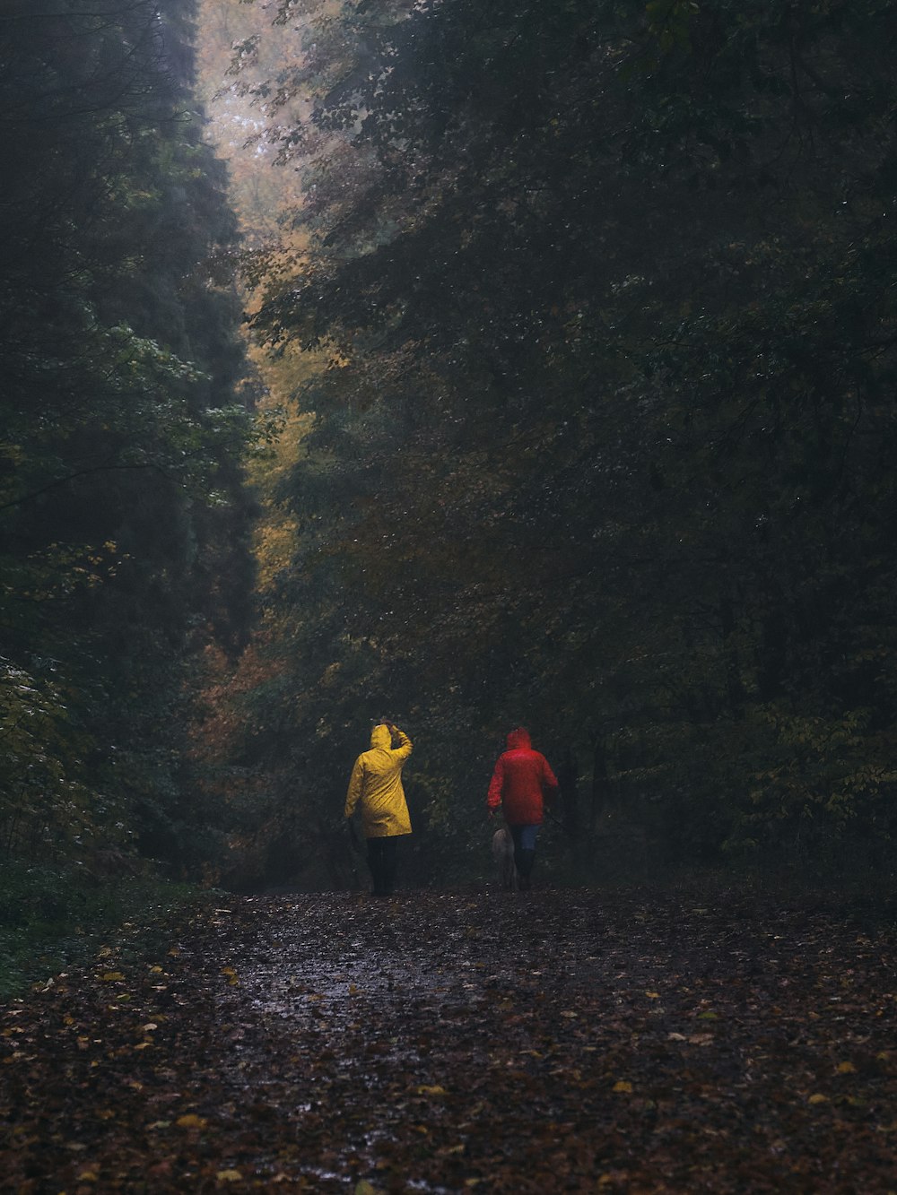 person in yellow jacket and black pants walking on dirt road in between green trees during