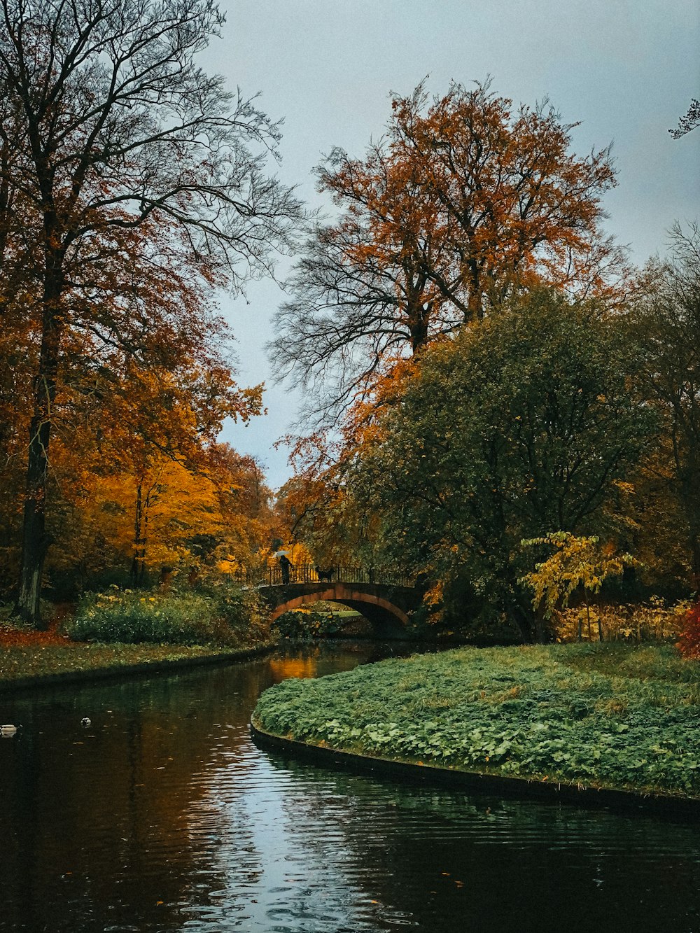 a river running through a lush green park