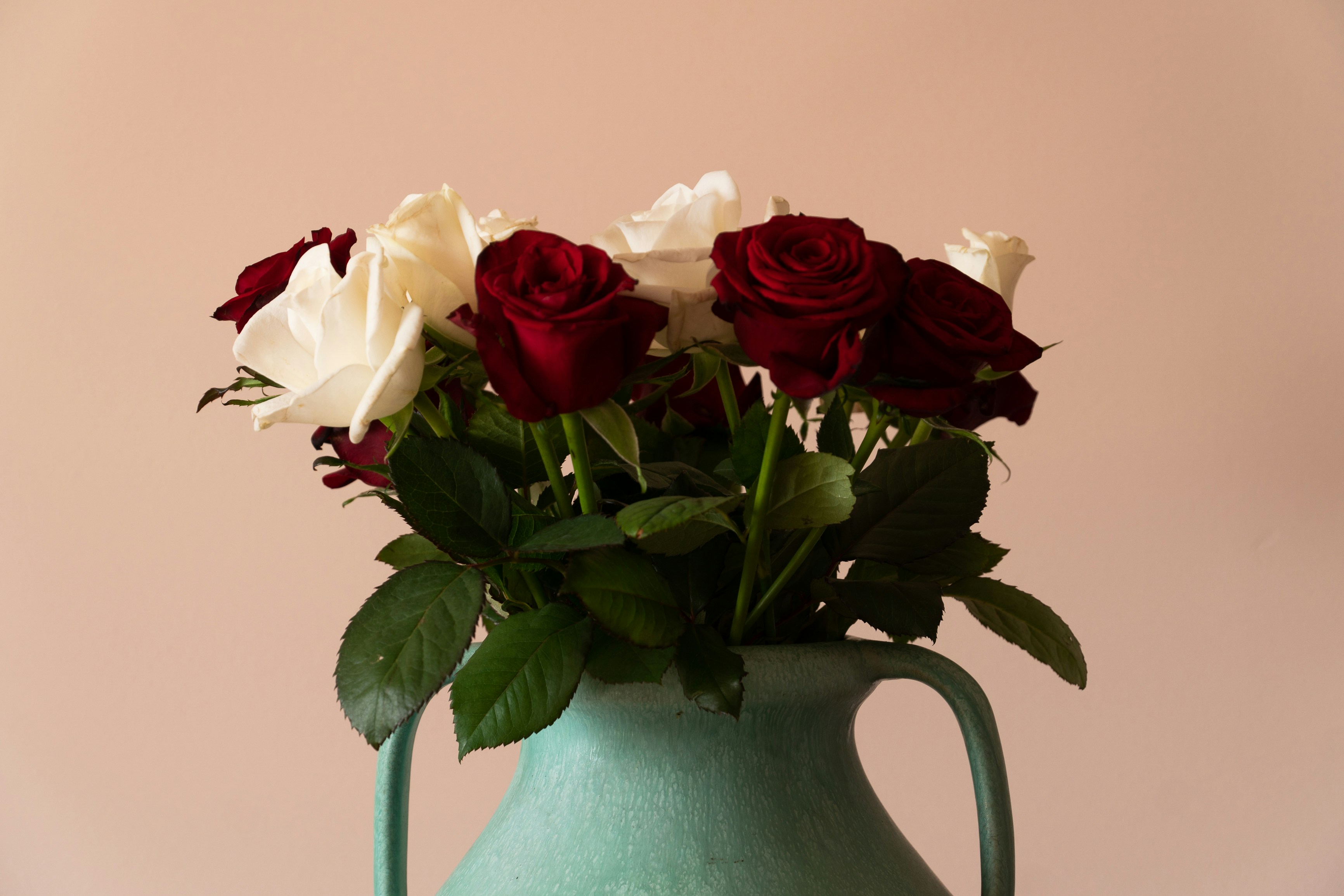 red and white roses in white ceramic vase photo – Free Image on Unsplash
