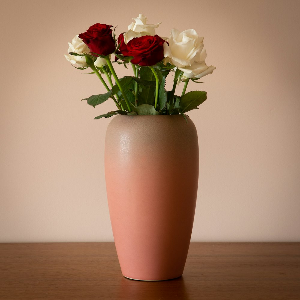 white and red roses in pink vase