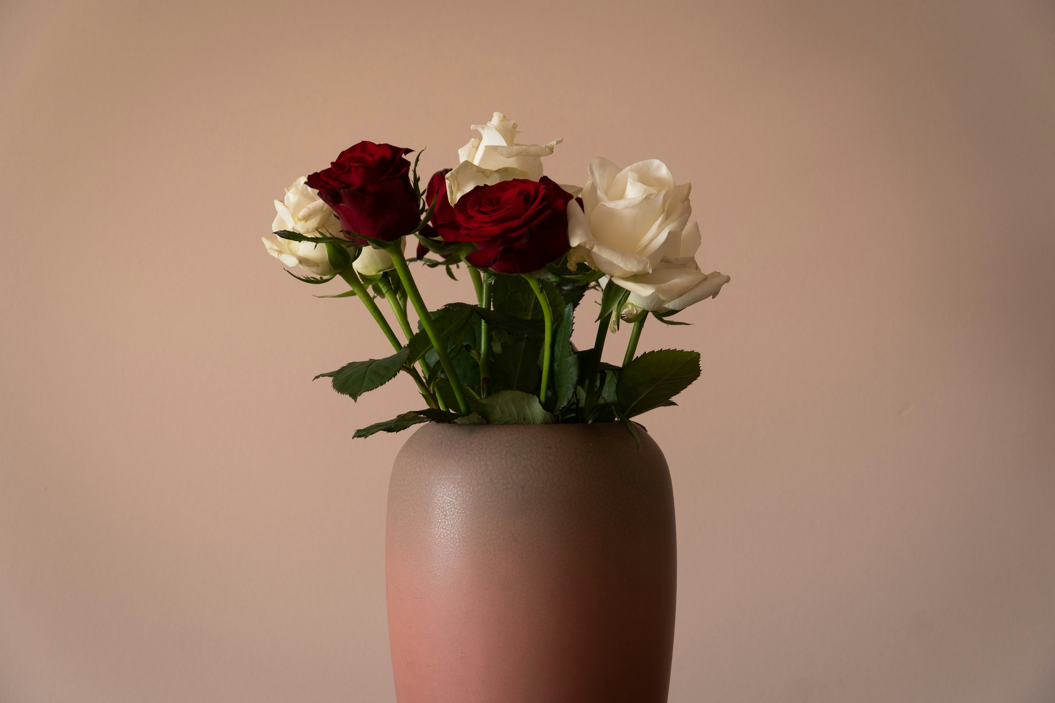 Photo by earl_plannerzone