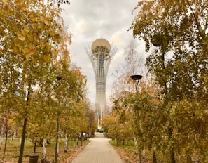 green trees and brown pathway