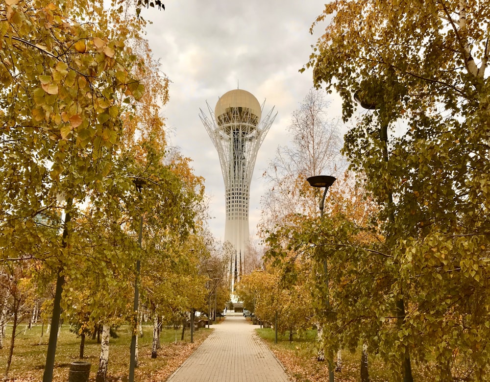 green trees and brown pathway