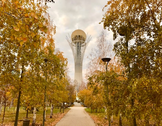 green trees and brown pathway in Nur-Sultan Kazakhstan