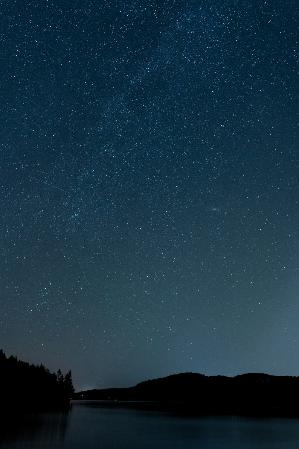 silhouette of trees under starry night