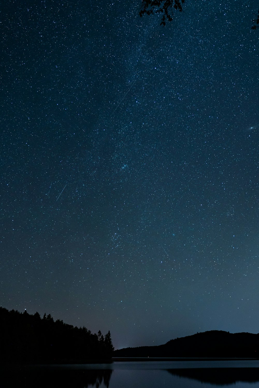 starry night sky over trees