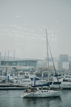 A marina with several docked boats, including a white sailboat with people wearing life vests. The background features modern buildings and a foggy sky, creating a calm atmosphere.