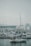 A marina with several docked boats, including a white sailboat with people wearing life vests. The background features modern buildings and a foggy sky, creating a calm atmosphere.