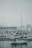 A marina with several docked boats, including a white sailboat with people wearing life vests. The background features modern buildings and a foggy sky, creating a calm atmosphere.