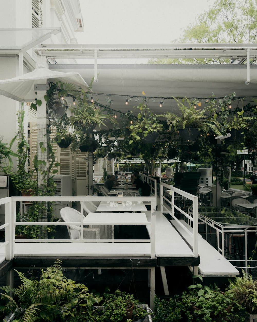 green trees near white building