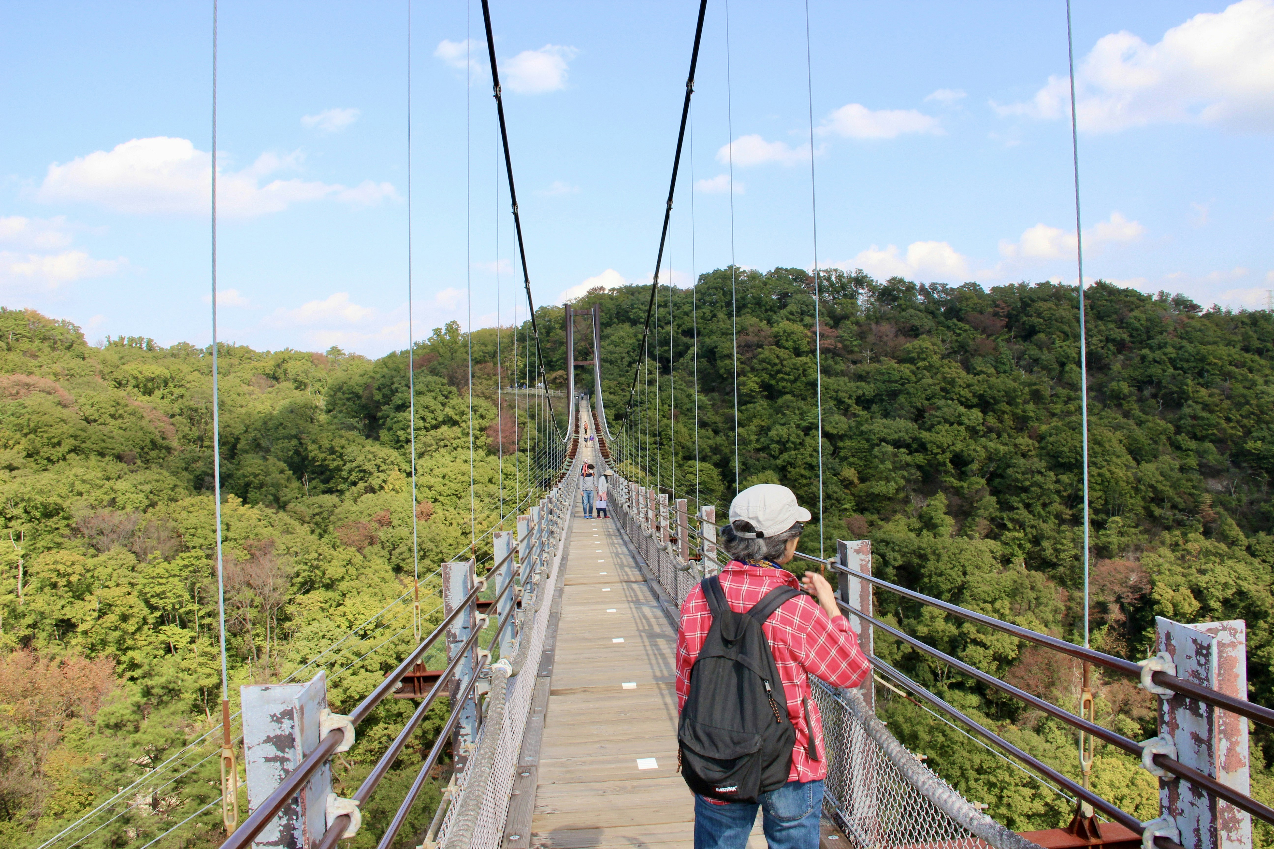 Kokonoe 'Yume' Suspension Bridge