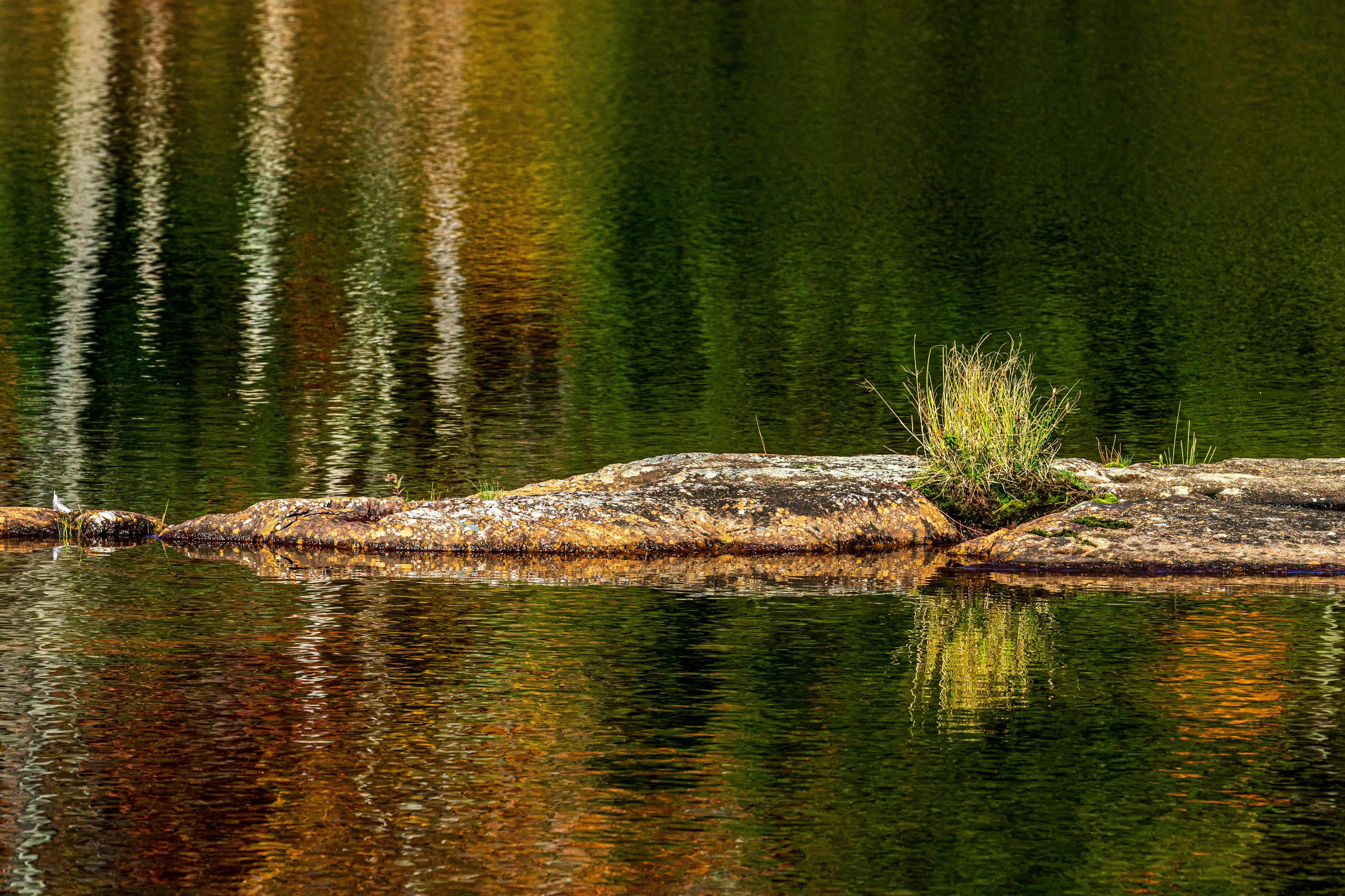 Photo by camerauthor