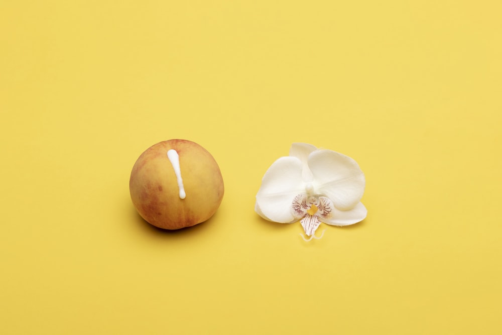 white flower beside apple fruit