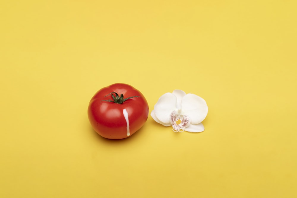 rote Tomate neben weißer Blume