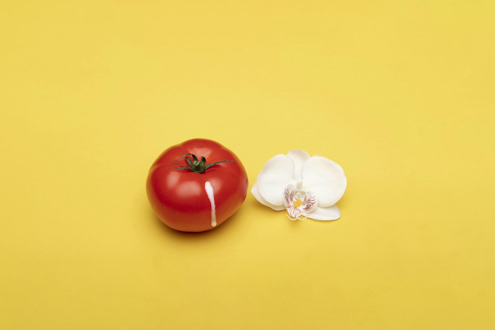 red tomato beside white flower