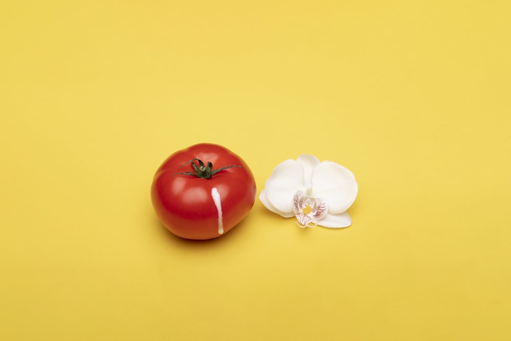 pomodoro rosso accanto al fiore bianco