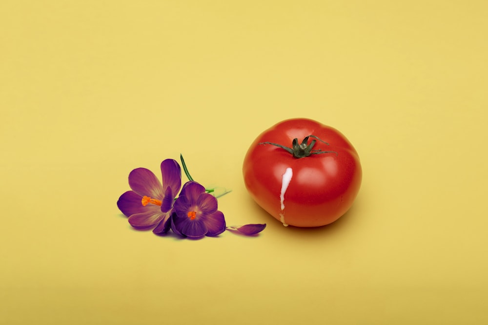 red tomato beside red flower