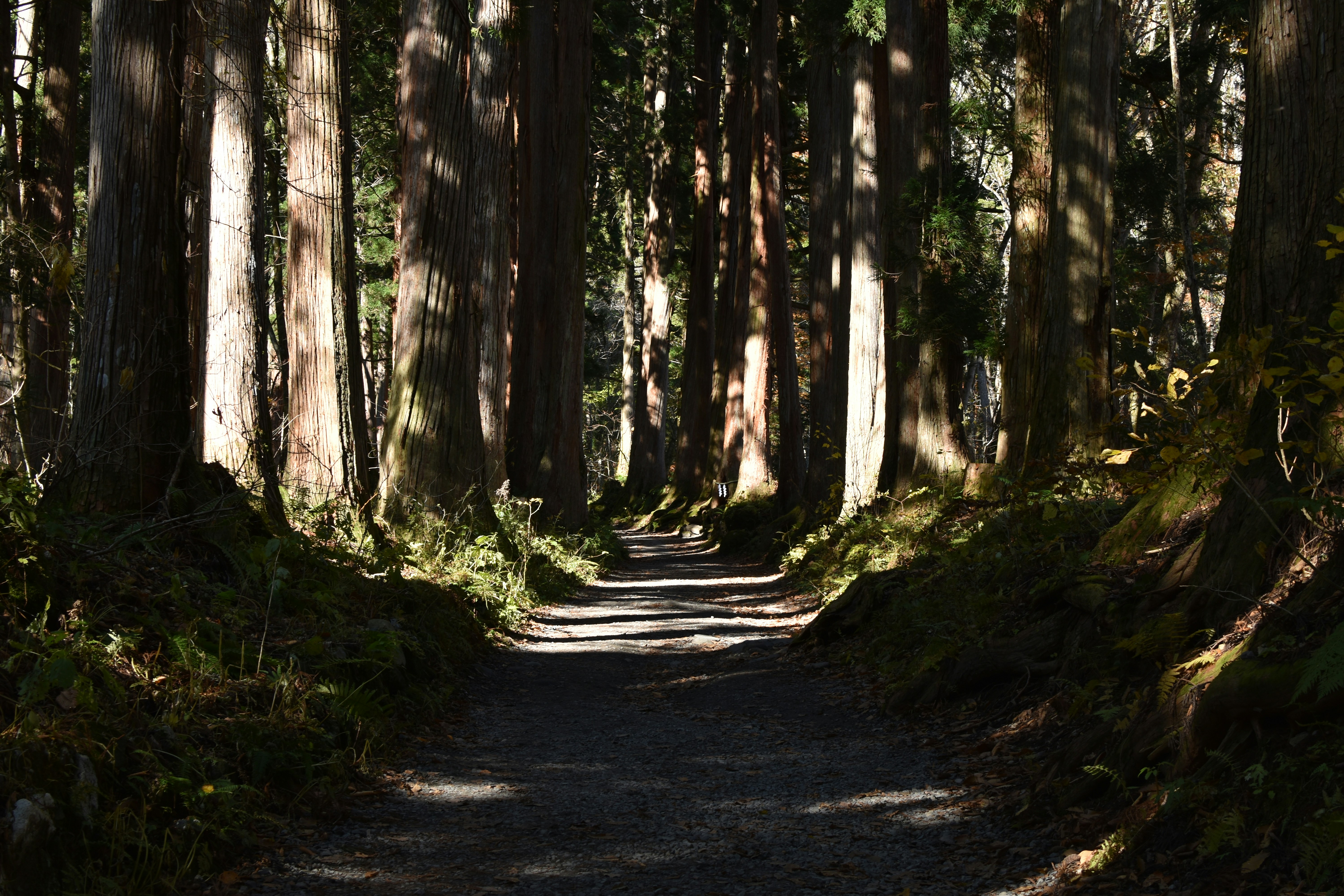 Photo by architraeveeee