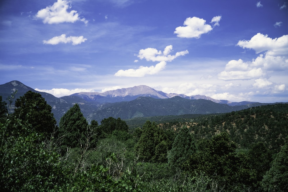 green trees and mountains under blue sky during daytime