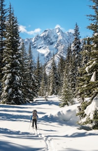 person in black jacket and black pants standing on snow covered ground near green pine trees