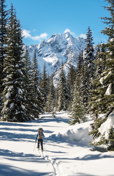 person in black jacket and black pants standing on snow covered ground near green pine trees