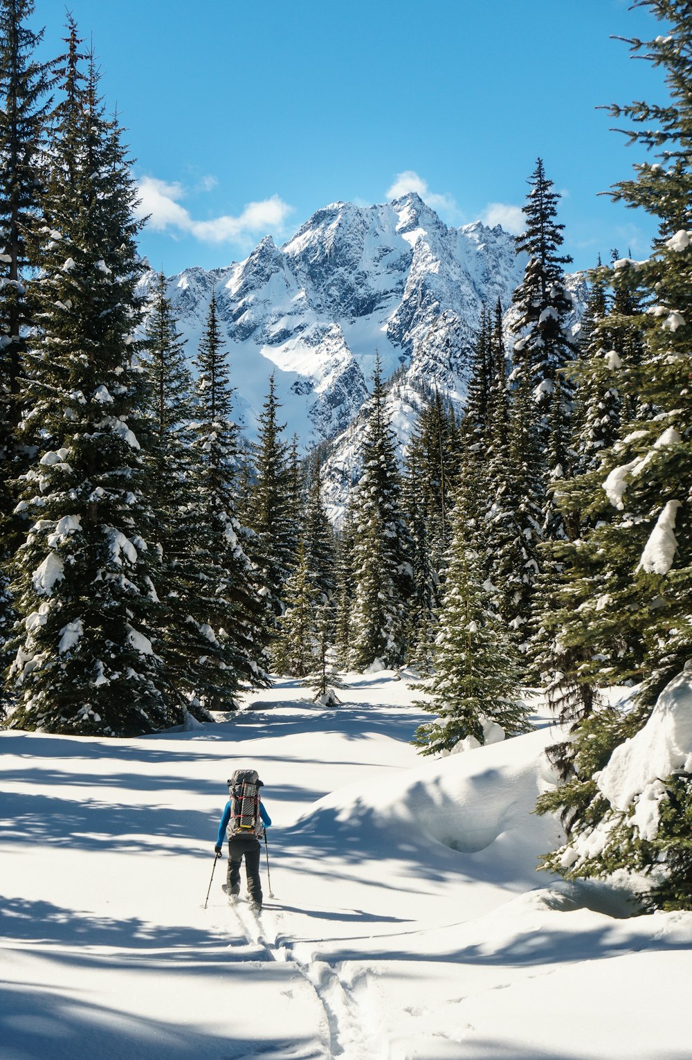 person in black jacket and black pants standing on snow covered ground near green pine trees