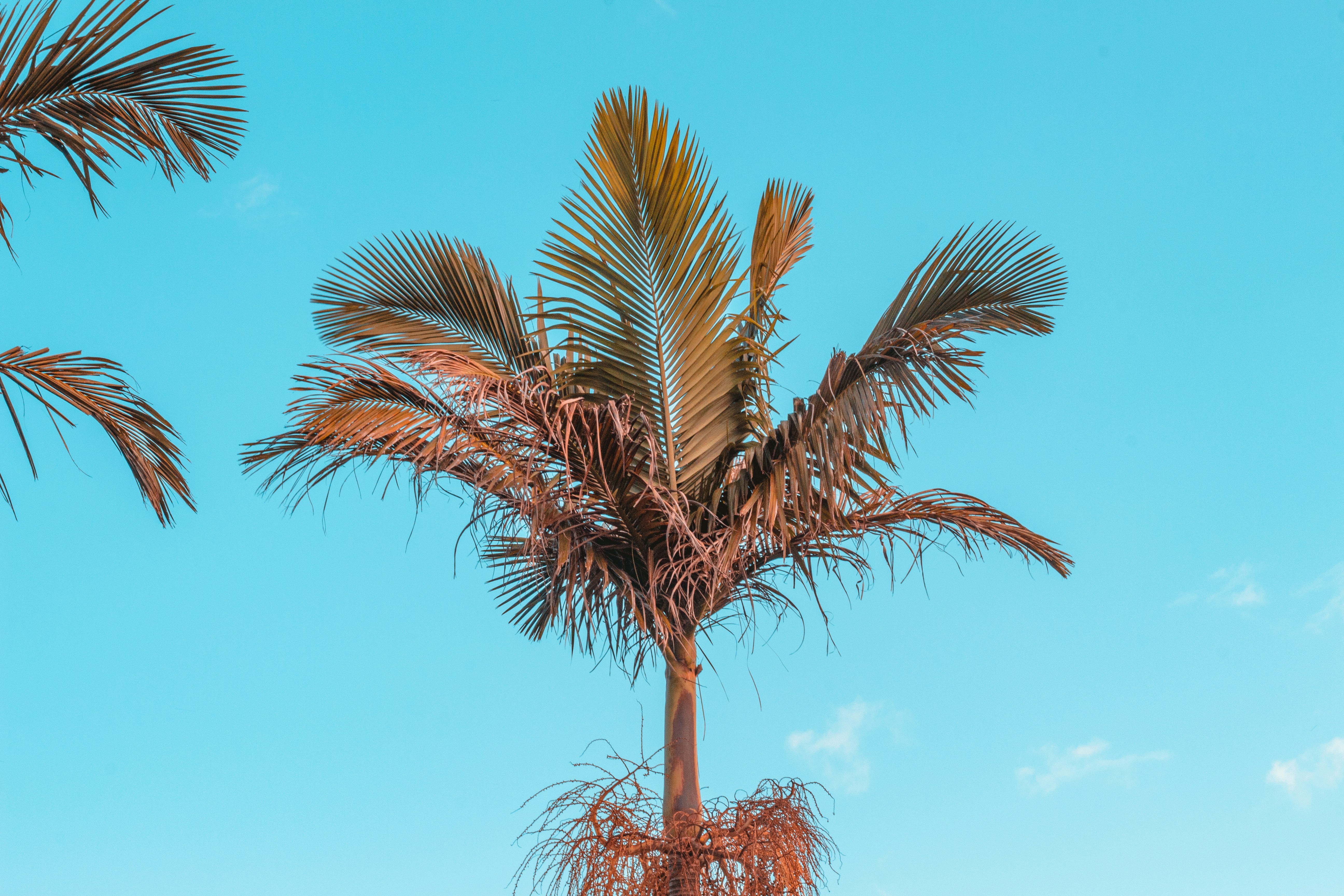 Photo by sandaproductions