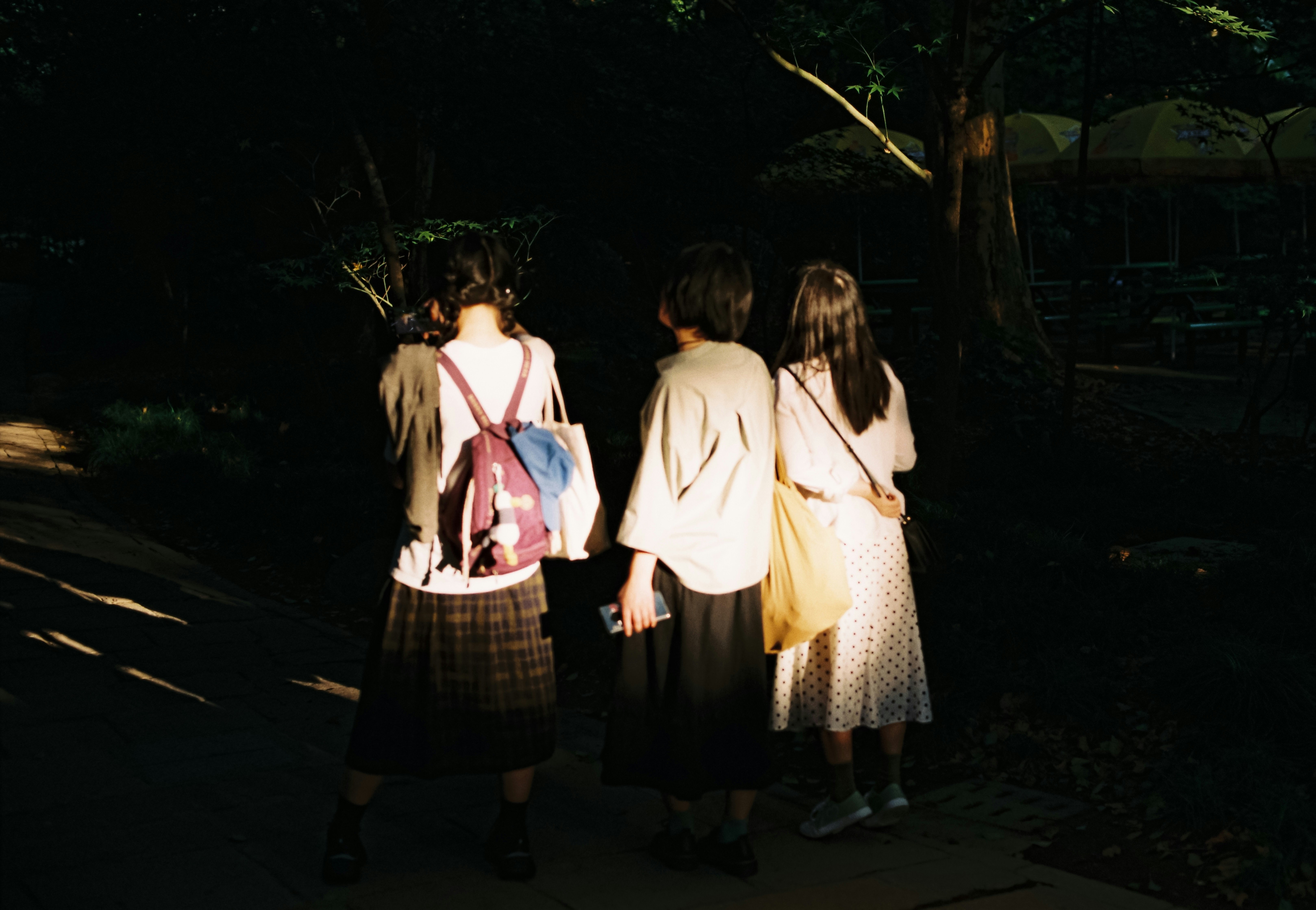 Photo by geraltyichen