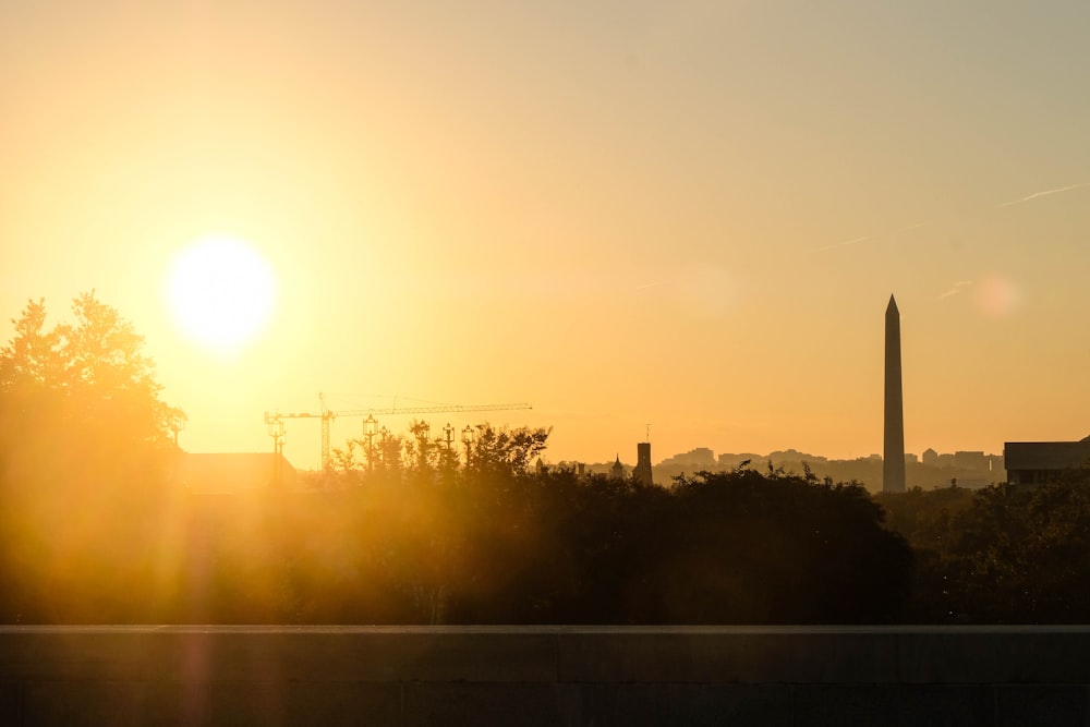 silhouette of trees and buildings during sunset