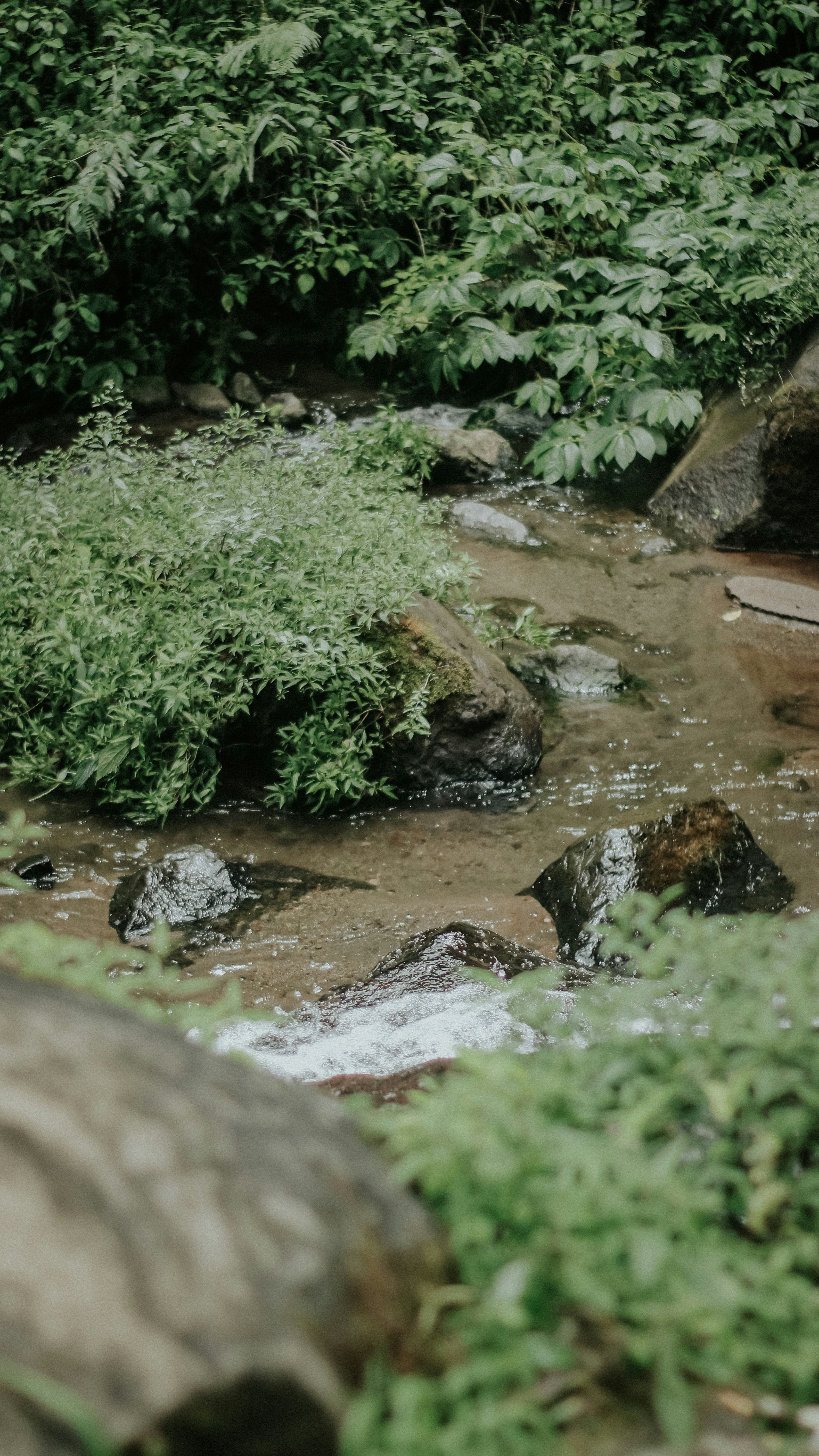 Photo by rahadiansyah