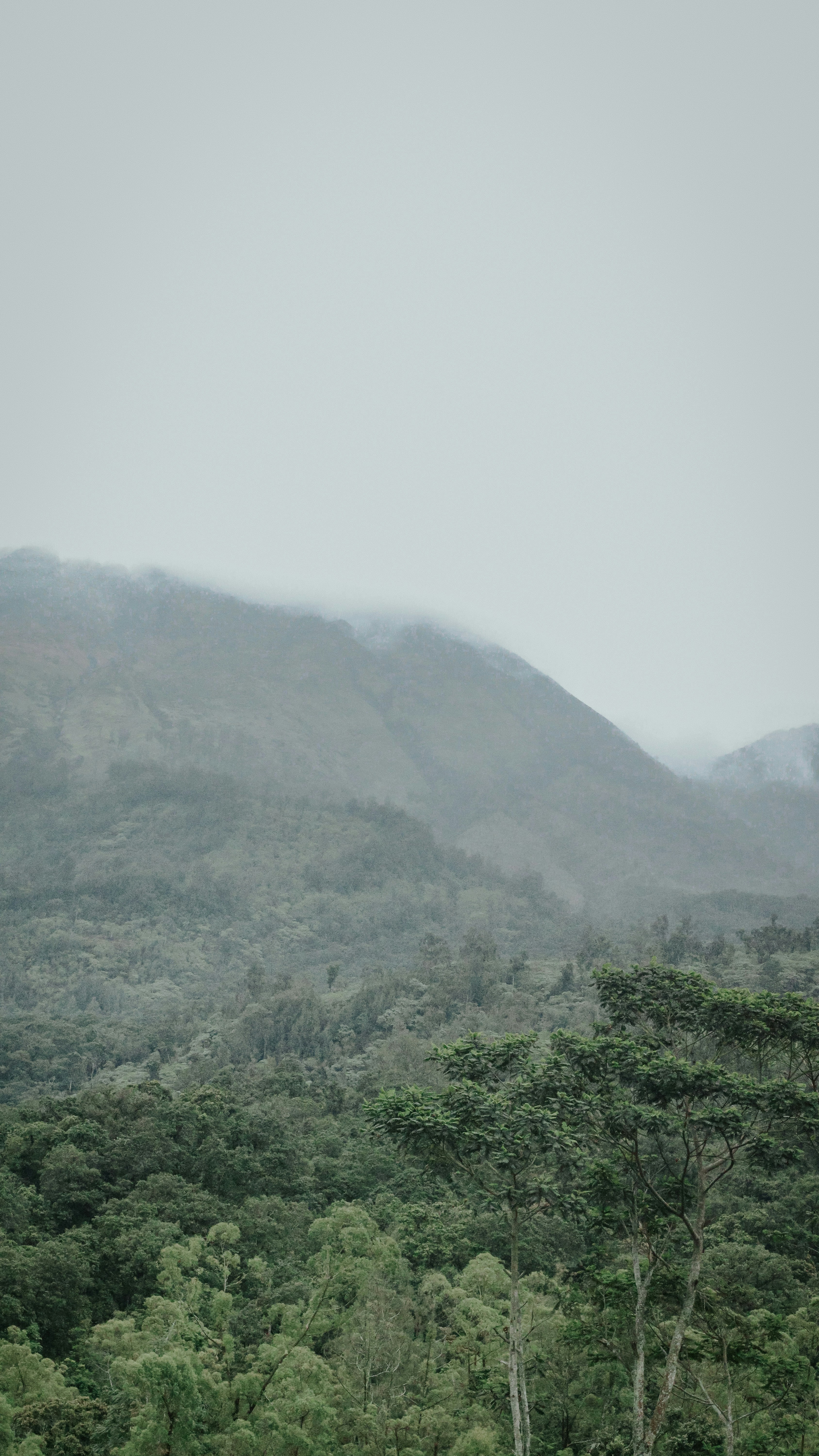 Photo by rahadiansyah