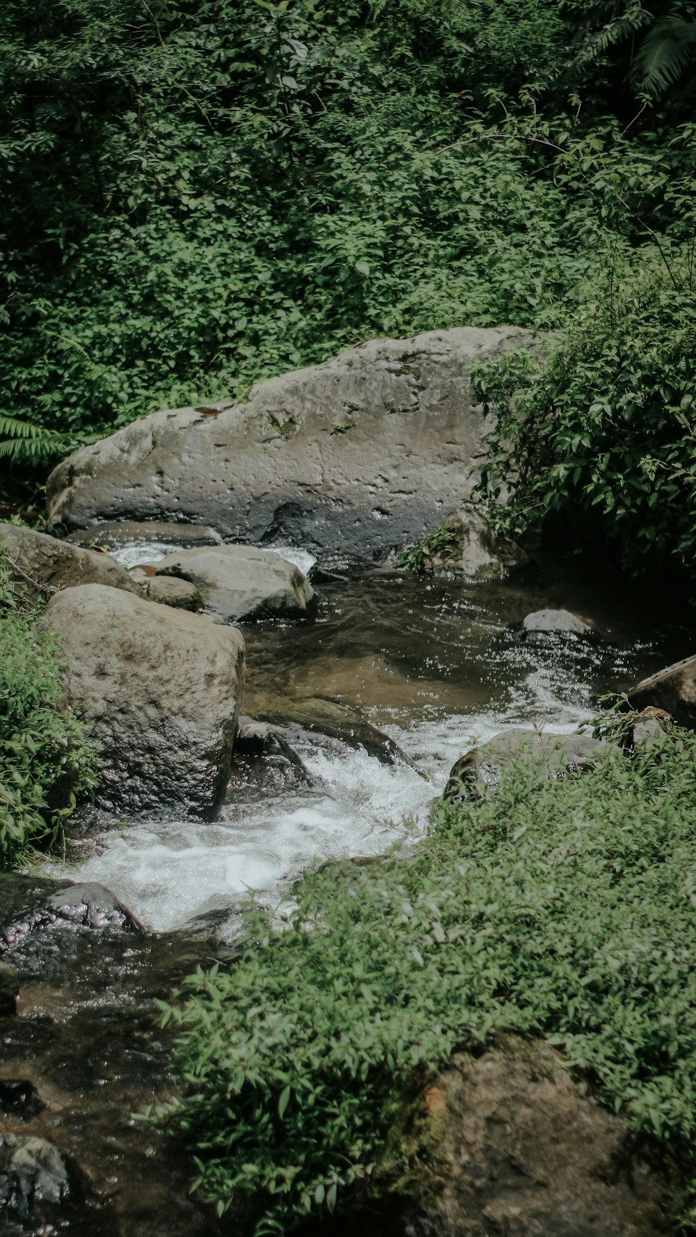 river in between green grass and gray rocks