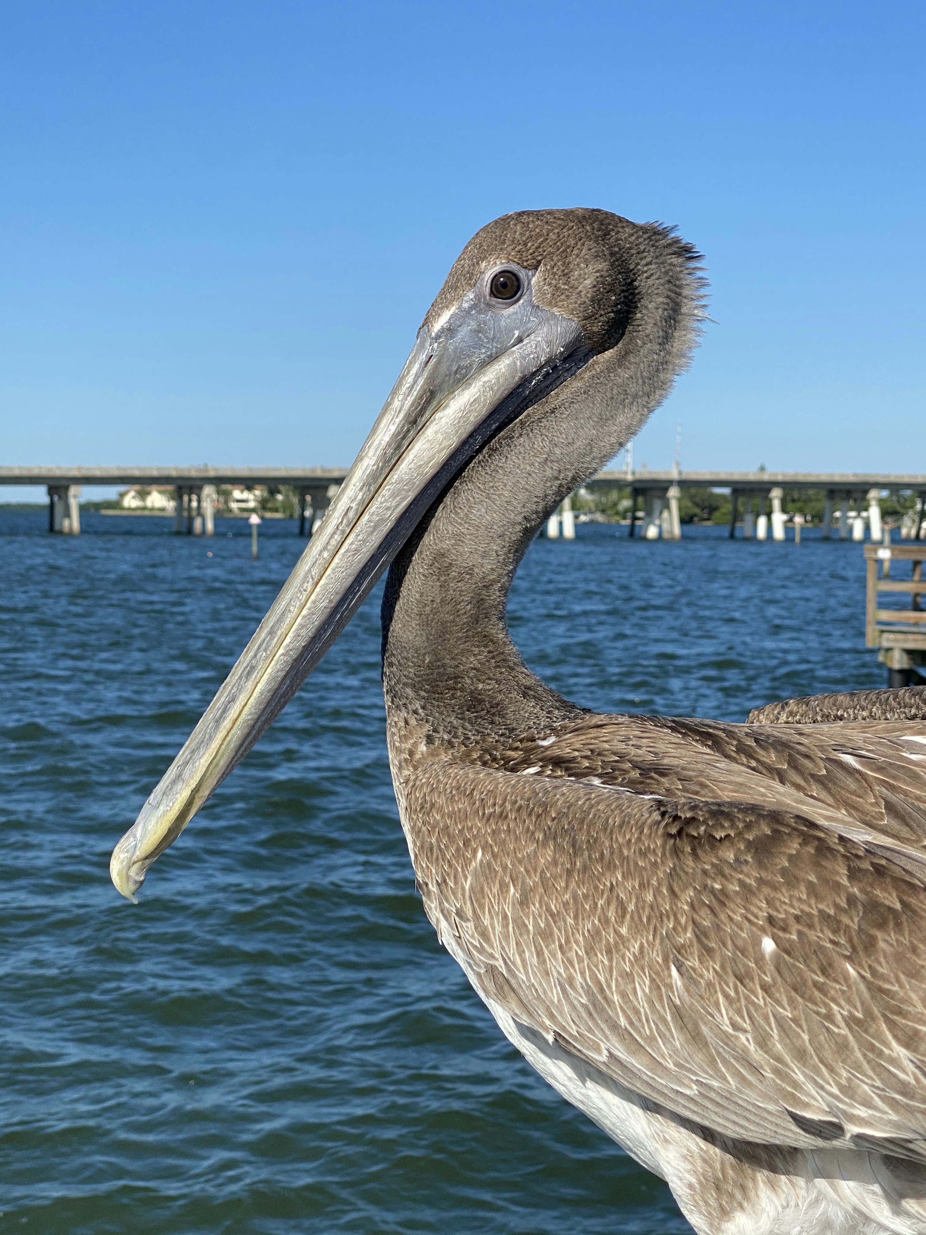 Website ranks top small cities to start new business. Bradenton ranks near the top