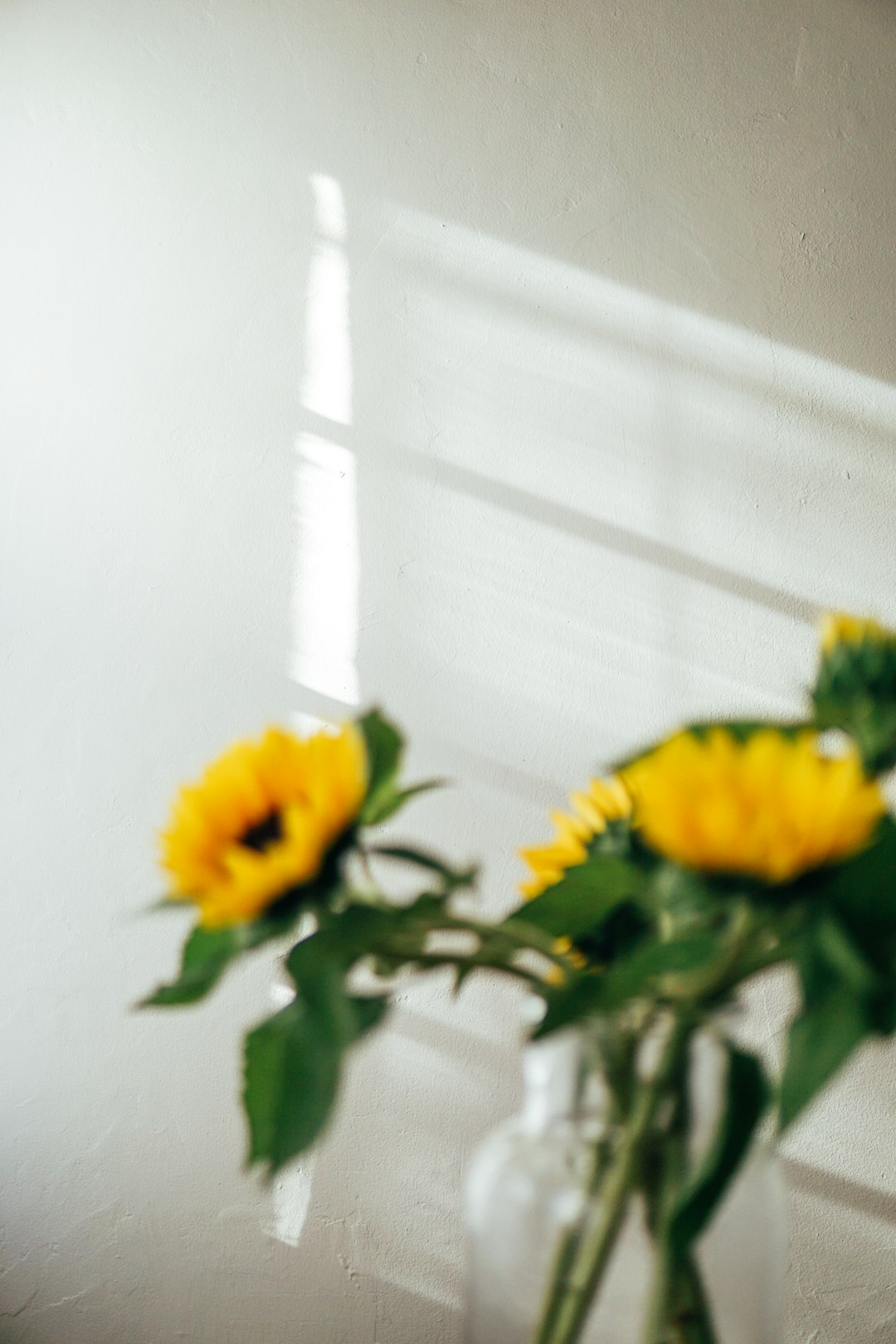 yellow flower in clear glass vase