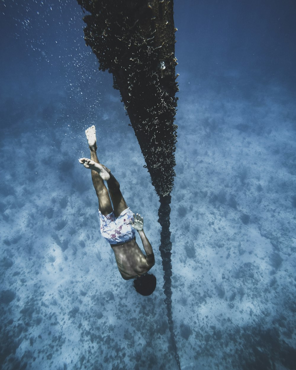woman in blue and white bikini swimming in water