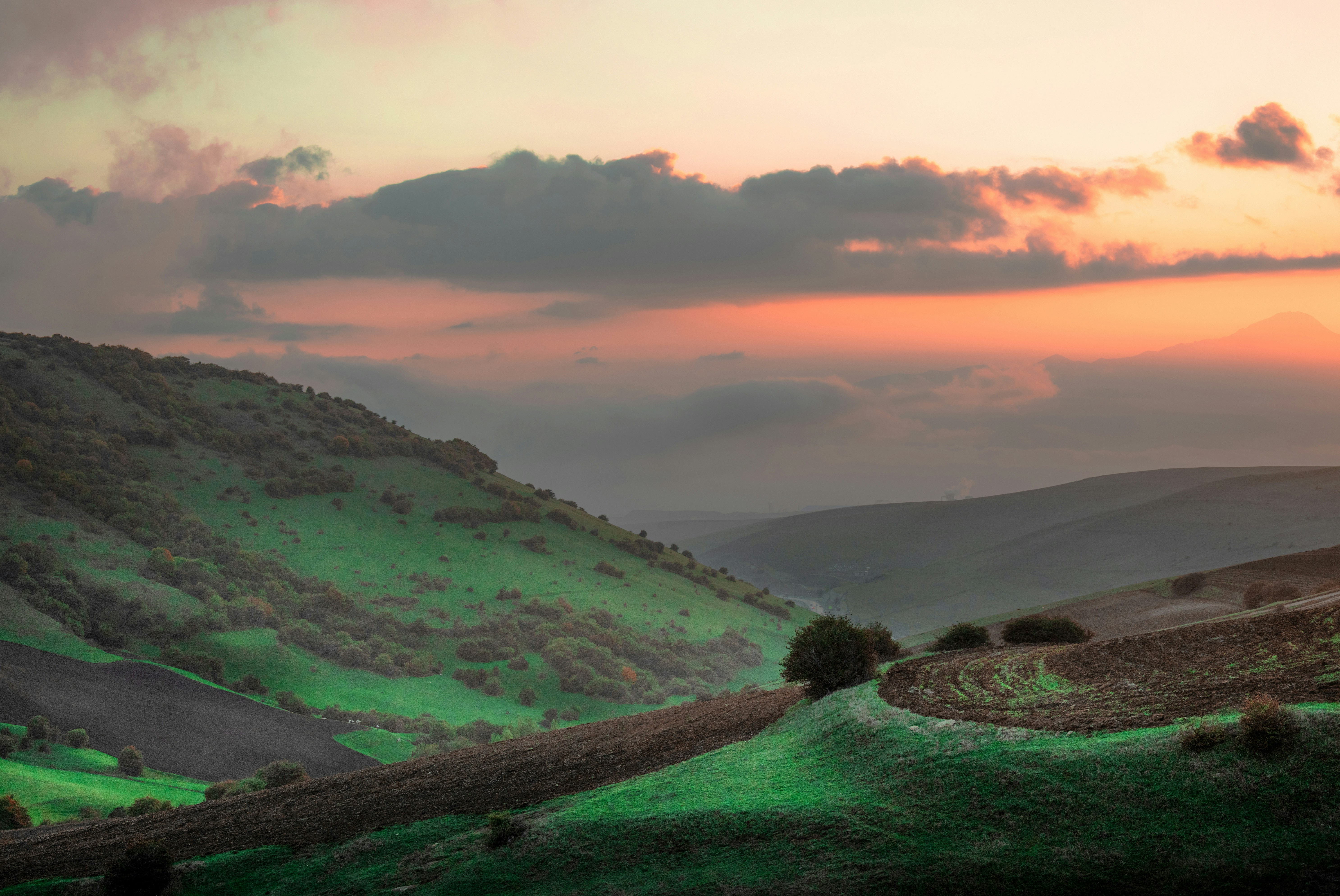 Photo by amirvisuals