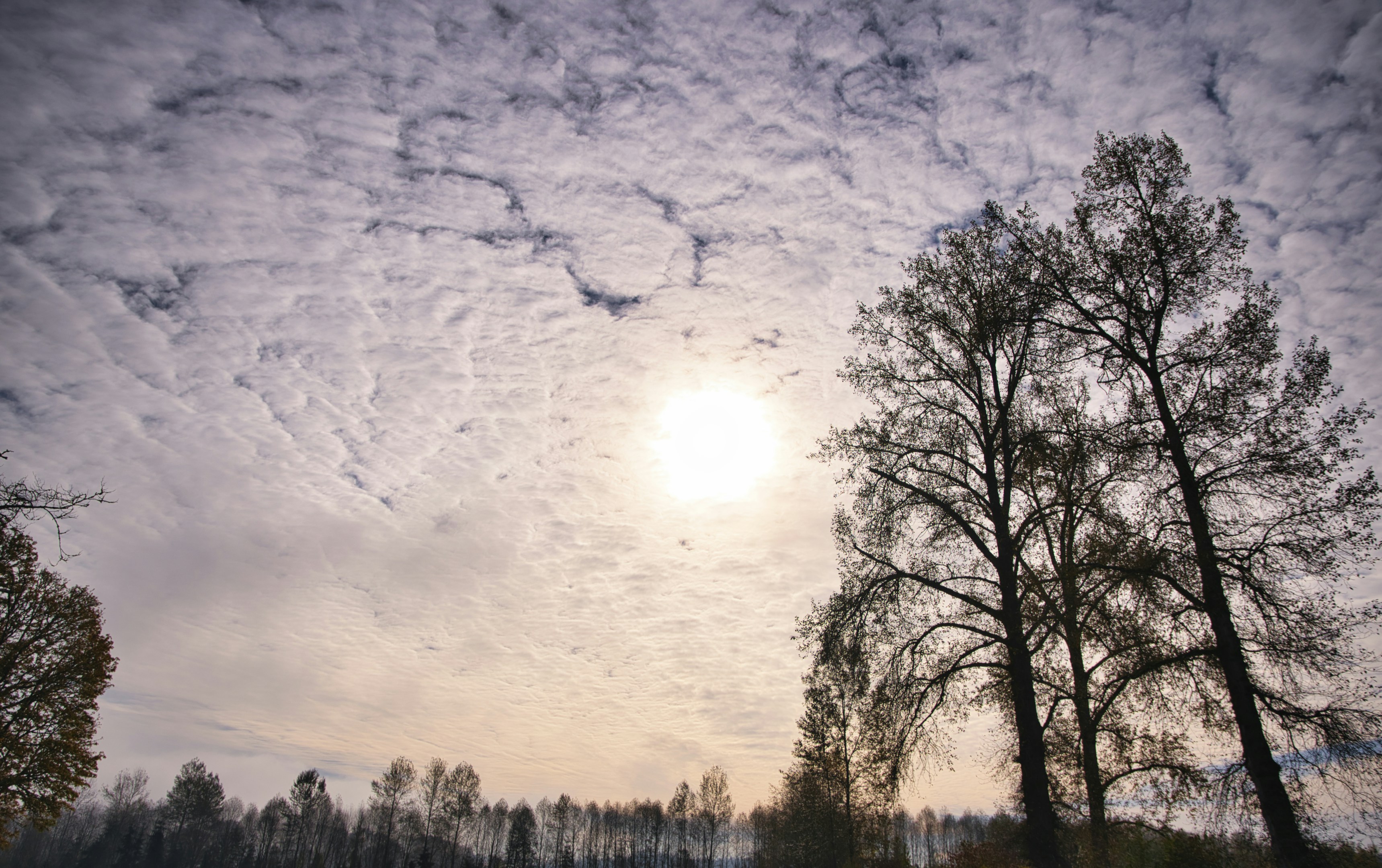 Photo by mbicca