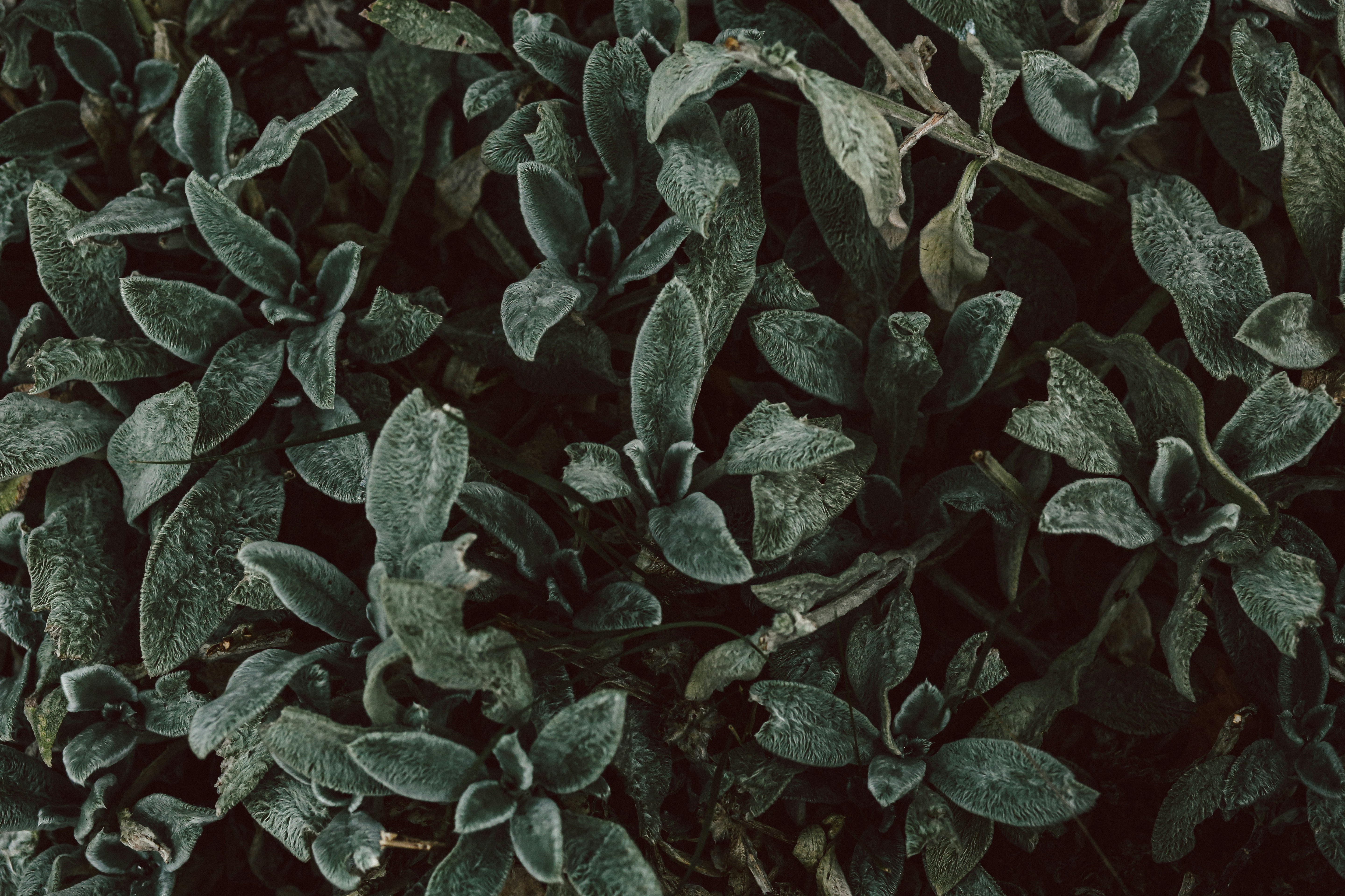 Photo by michelle246